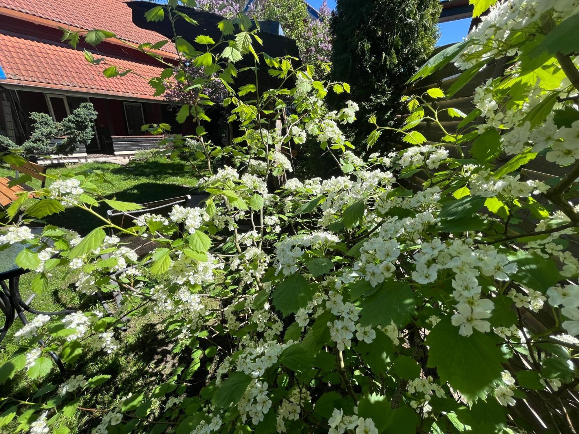 维拉骏达山林小屋 内林加 外观 照片